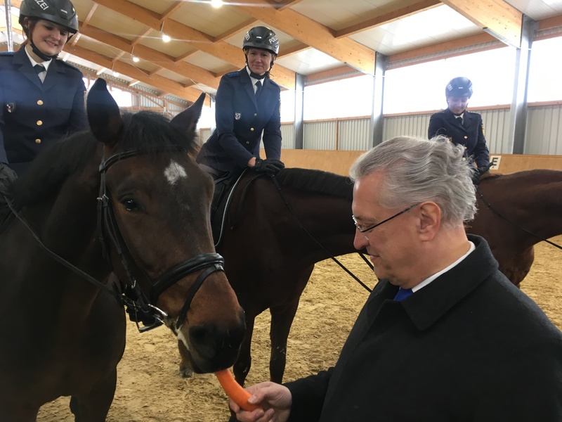 Freitag, 11. Januar 2019; Innenminister Joachim Herrmann stellt in einer N�rnberger Reitanlage die ersten vier Polizeipferde der neuen mittelfr�nkischen Polizeireitergruppe vor.